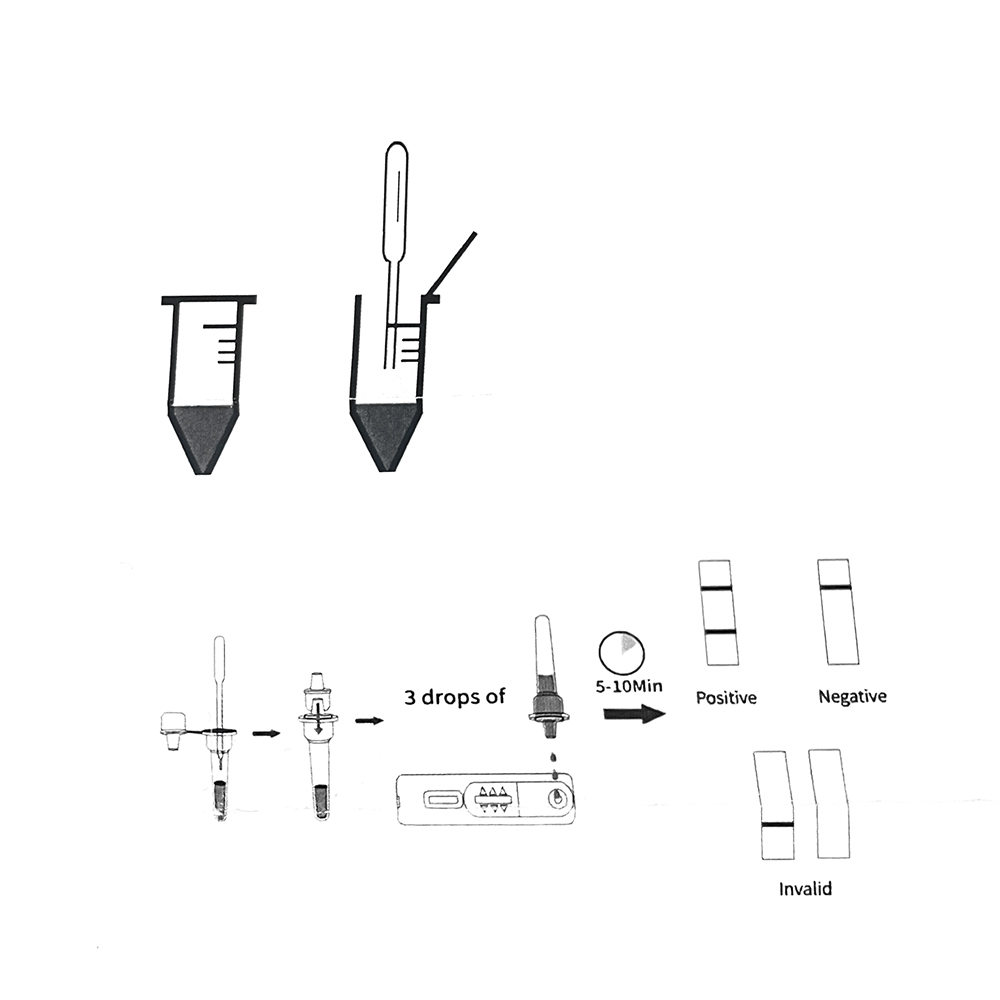 1set/5set Professional Pet Dog - Pet Supplies Discount recension och pris