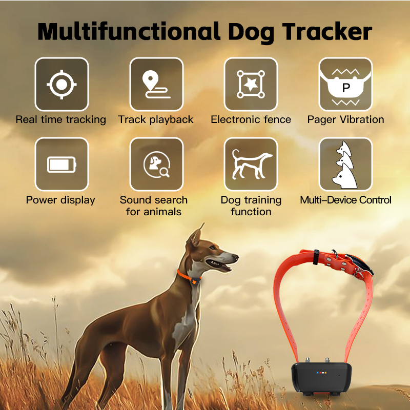Special WiFi Waterproof GPS Do - Pet Gps Tracker Collar recension och pris