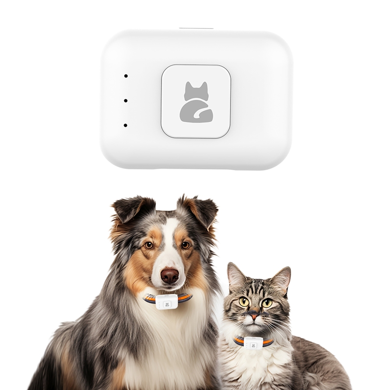 GPS Pet Tracker with Colorful  - Pet Gps Tracker Collar recension och pris
