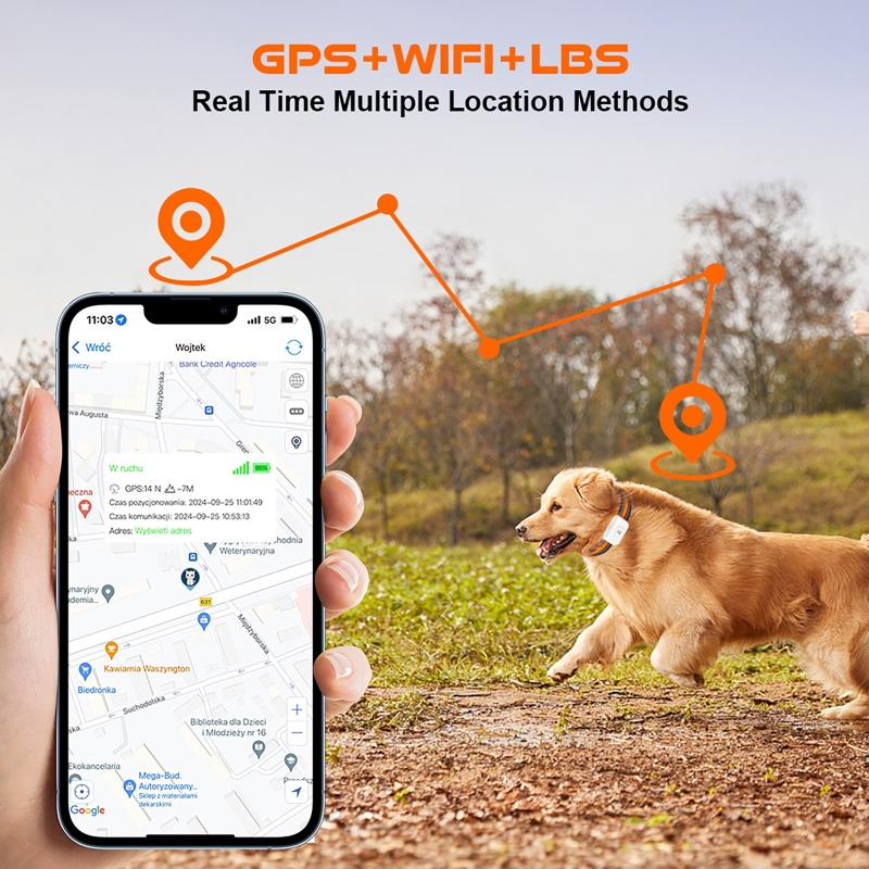 GPS Pet Tracker with Colorful  - Pet Gps Tracker Collar recension och pris